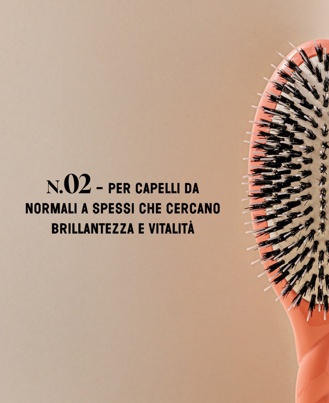 N.02 Lo Indispensable De Cuidado y Desenredado Cepillo Coral