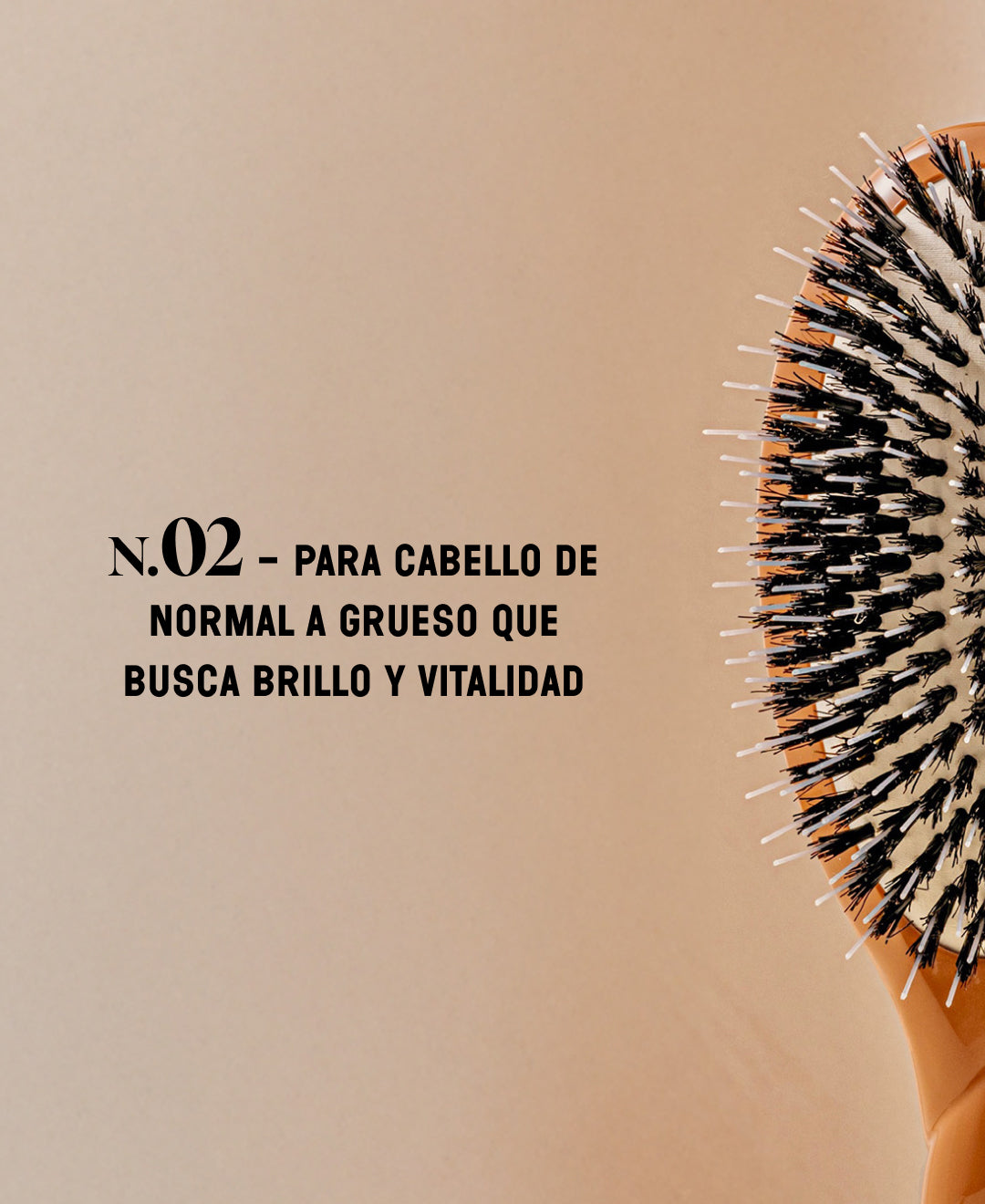 N.02 Lo Indispensable De Cuidado y Desenredado Cepillo Terracota