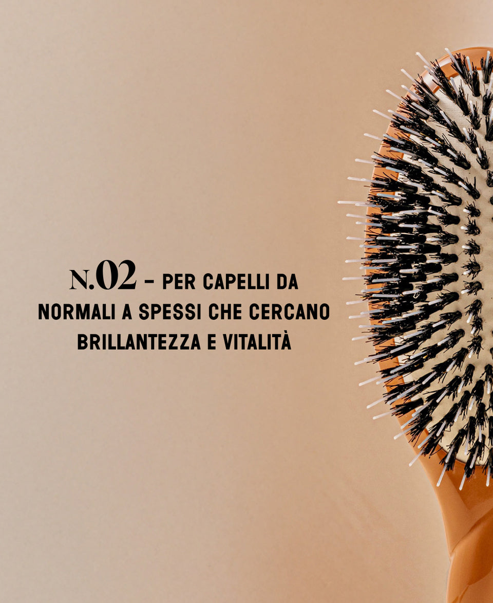 N.02 La Spazzola Districante e Trattante l’Indispensabile Terracotta