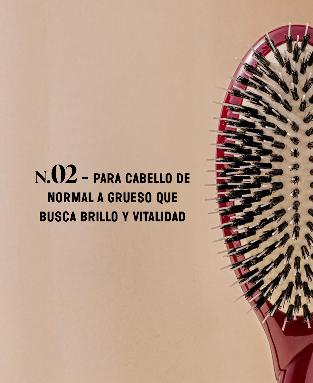N.02 La Brosse Démêlante & Soin l'Indispensable Rouge Cerise