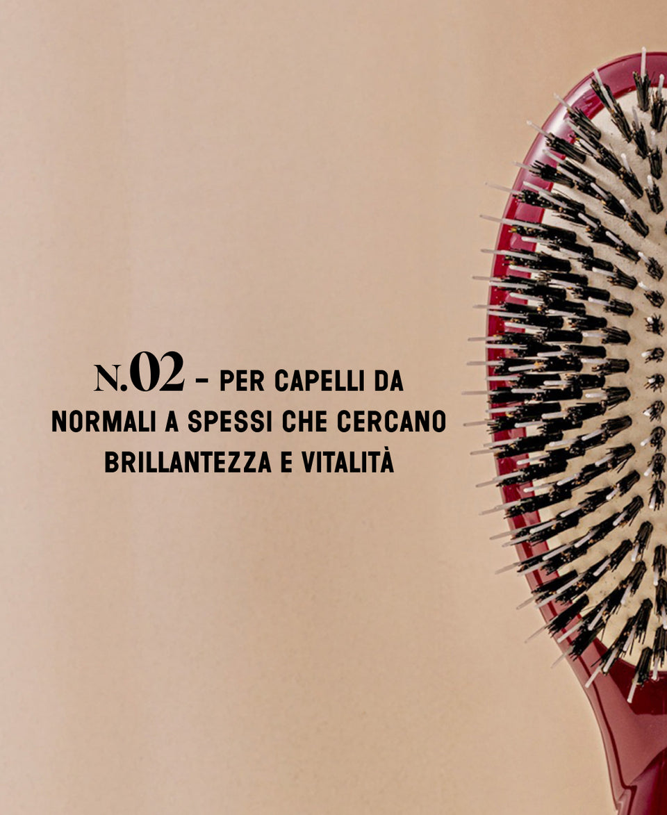 N.02 L’Essenziale Cura e Disinfestazione Spazzola Rosso Ciliegia