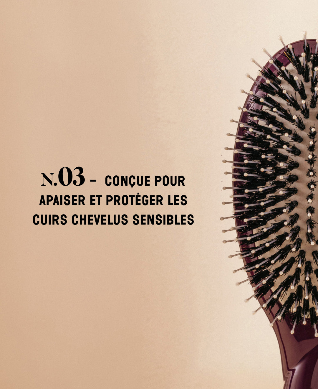 Édition Limitée Aubergine N.03 La Brosse Cuir Chevelu Sensible l'Indispensable Douceur