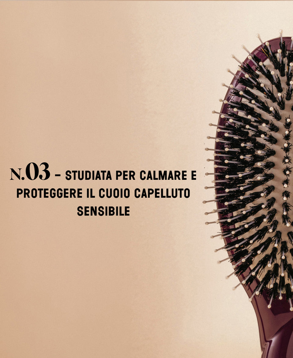 N.03 L'Essenziale Dolcezza Spazzola color melanzana – edizione limitata
