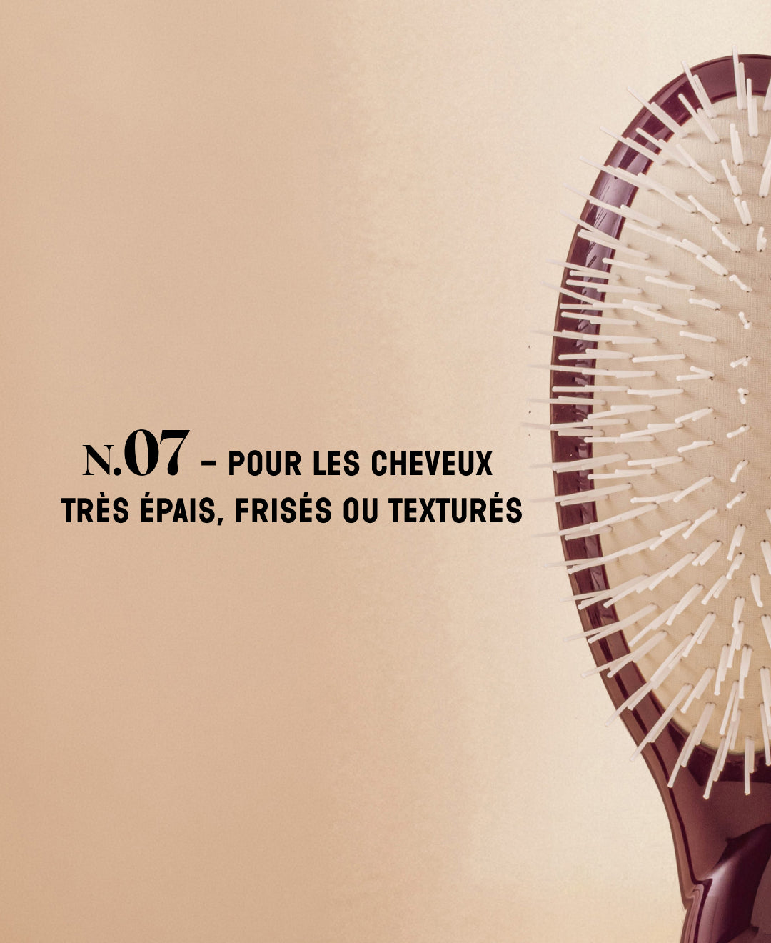 Édition Limitée Aubergine N.07 La Brosse Démêlante & Stimulante l'Intense
