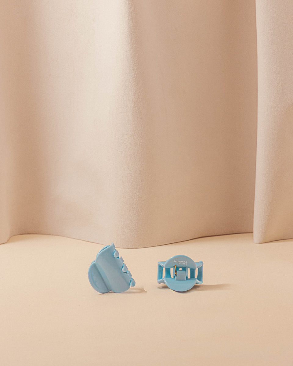 The Little Hair Clip