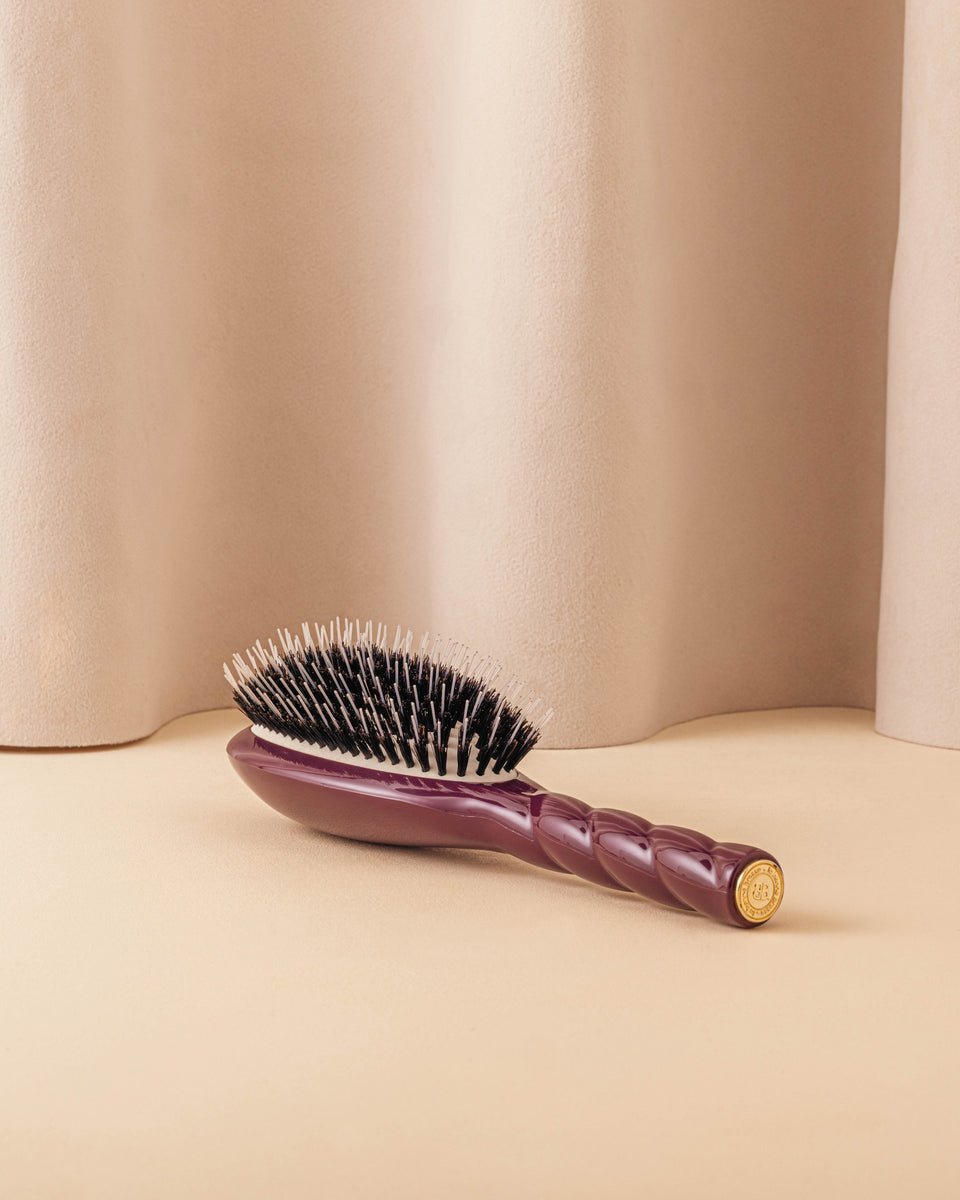 Édition Limitée Aubergine N.02 La Brosse Démêlante & Soin l'Indispensable