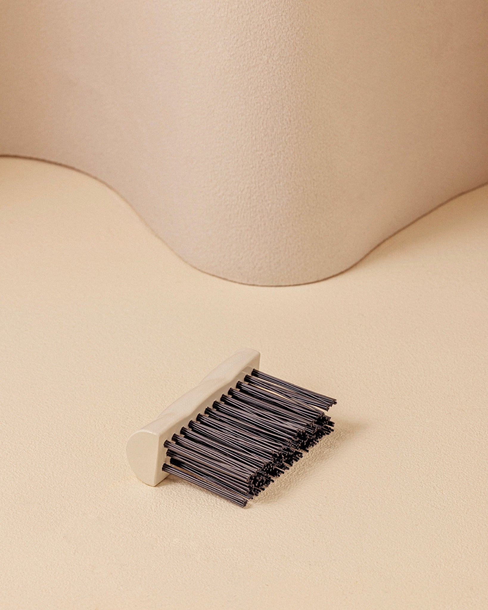 La brosse de nettoyage