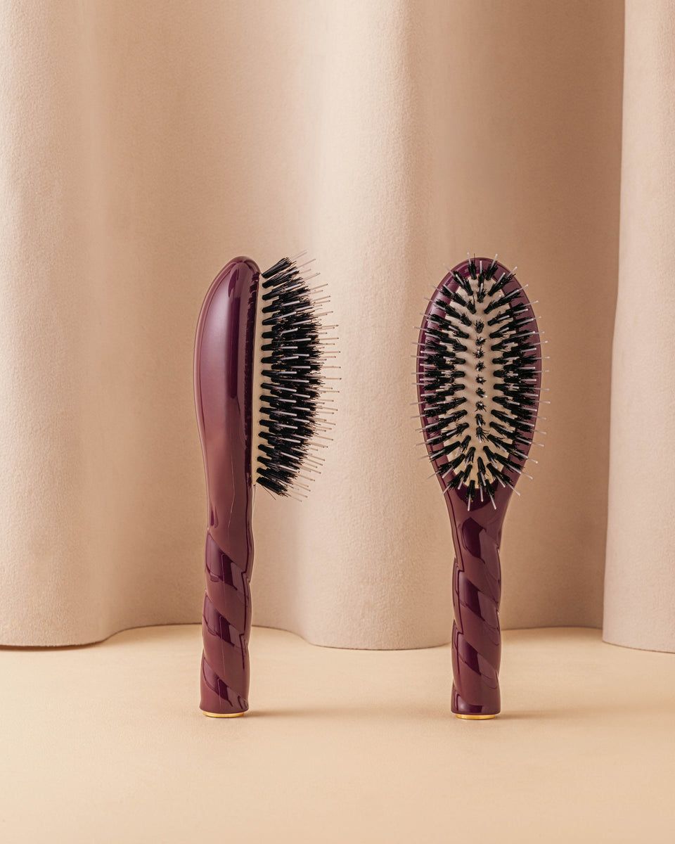 Édition Limitée Aubergine N.02 La Petite Brosse Démêlante & Soin l'Indispensable