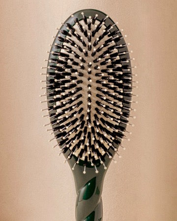 Trio: The Bonne Brosse, its Comb and its Emerald Green Pouch