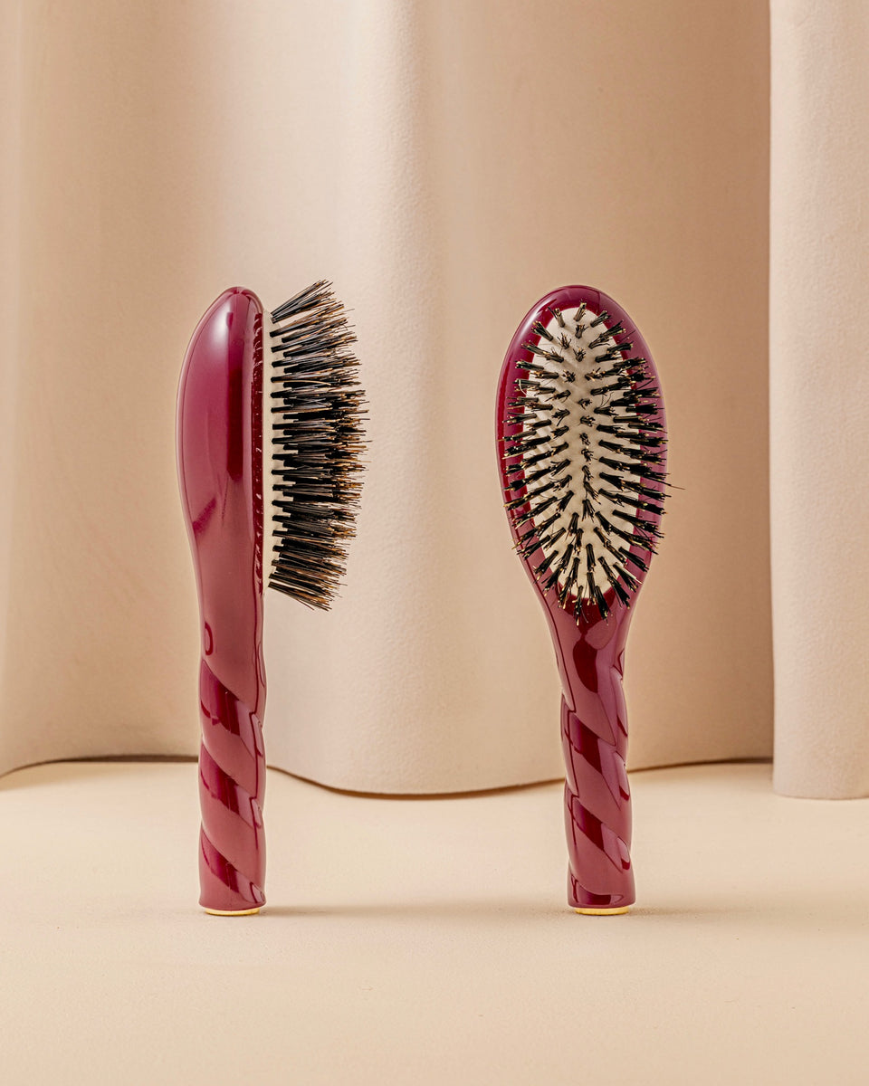 Trio: The Small Hairbrush, its Comb and Cherry Red Pouch