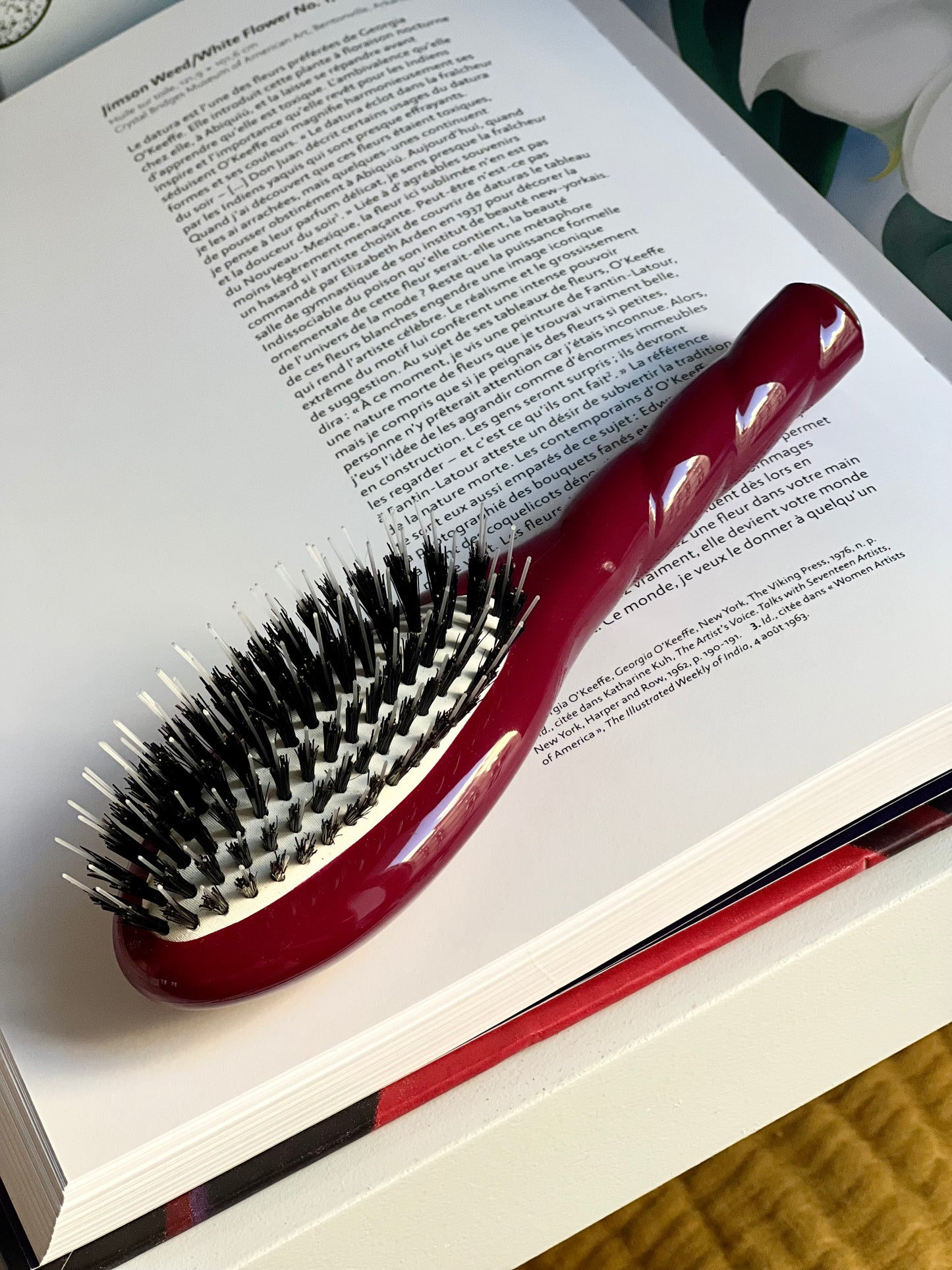 N.02 The Small Care & Detangling Hair Brush THE ESSENTIAL Cherry Red 