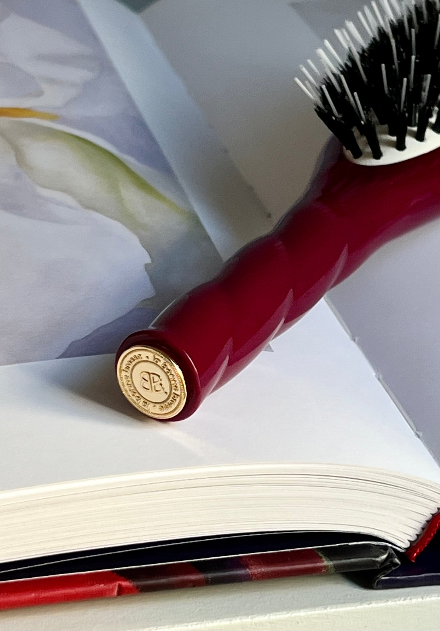 N.02 The Small Care & Detangling Hair Brush THE ESSENTIAL Cherry Red 