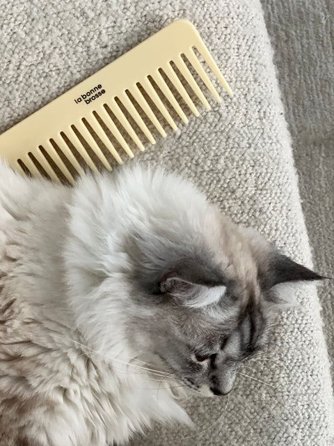 The Large Detangling Comb in Acetate Ivory Cair - Image 2
