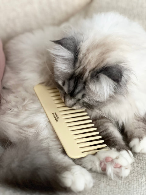 The Large Detangling Comb in Acetate Ivory Cair - Image 3