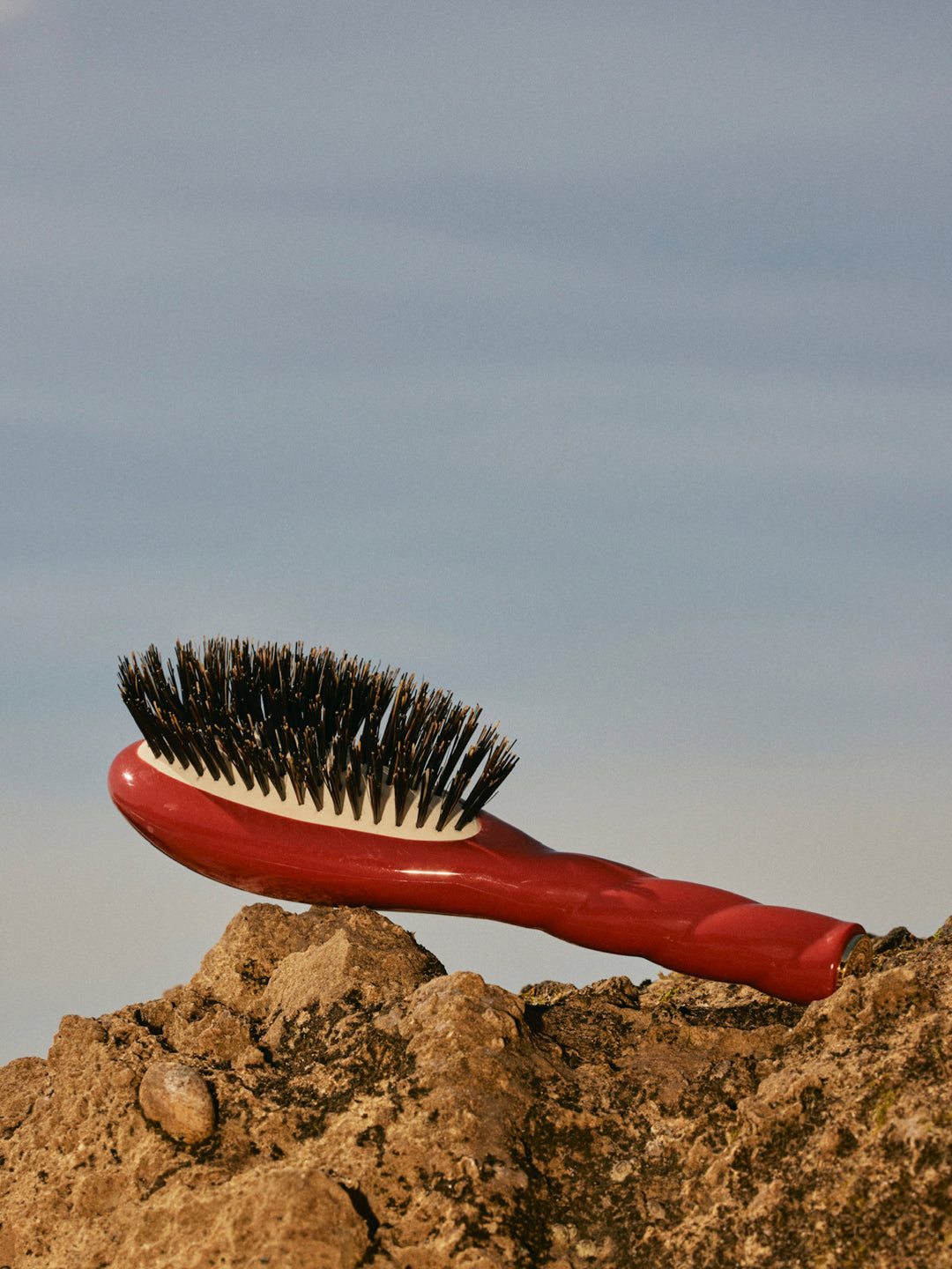N.01 La Petite Brosse Brillance & Soin l’Universelle Terre Battue