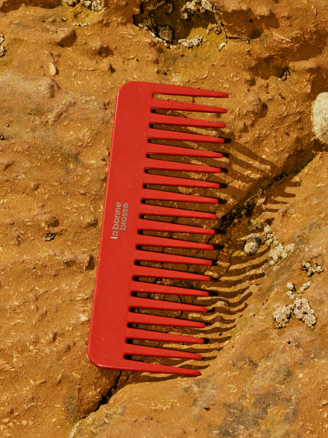 The Large Detangling Comb in Acetate Clay Court