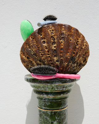 la bonne brosse x 
roseanna