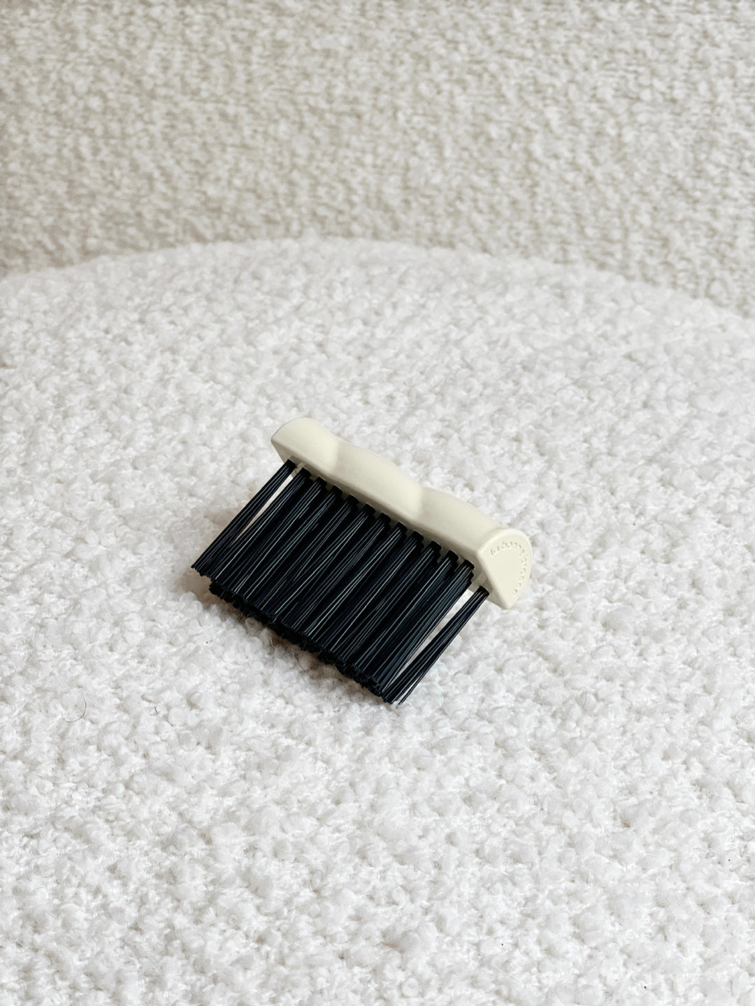 La brosse de nettoyage