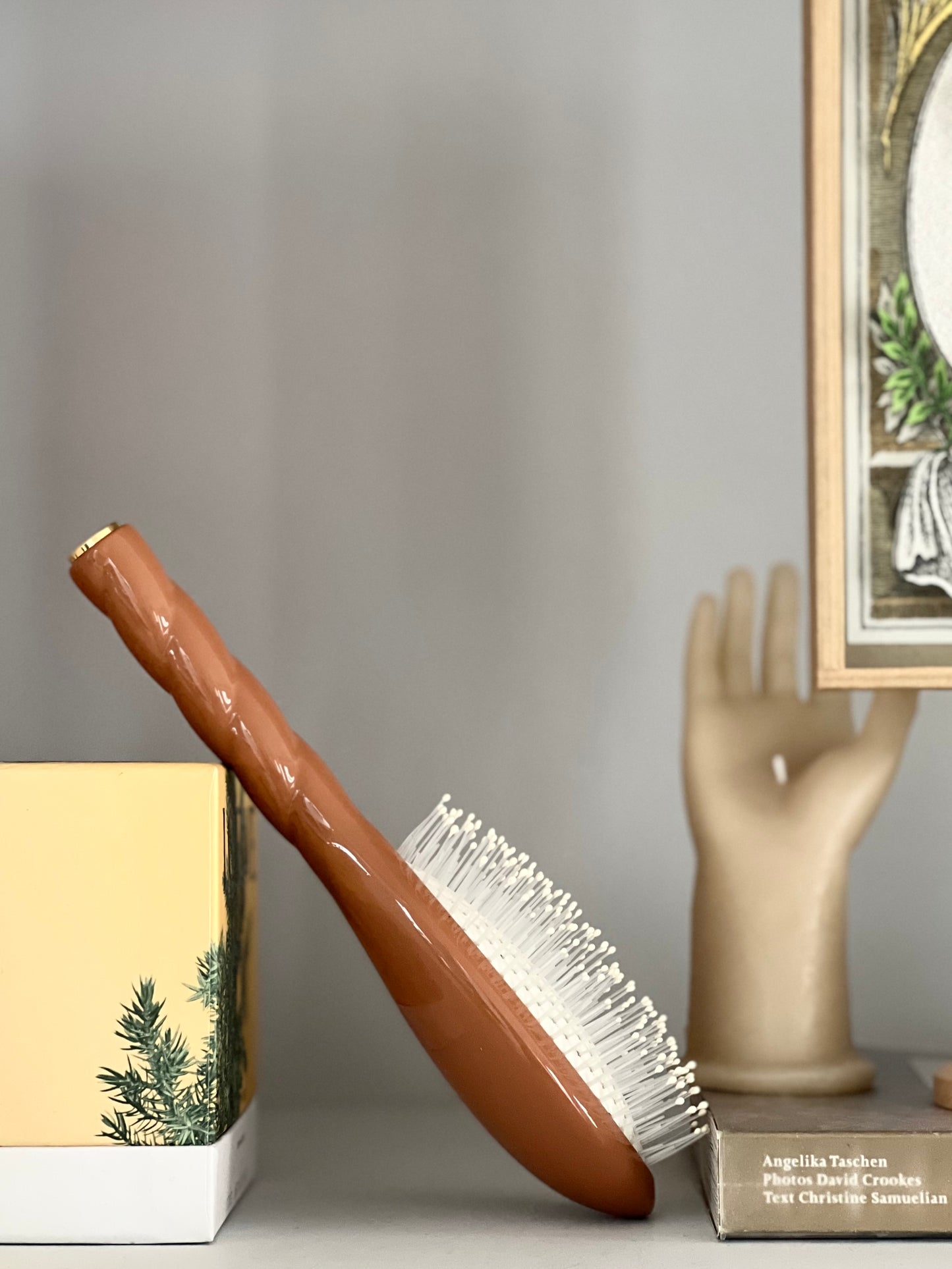 N.04 The Massaging Detangling Hair Brush THE MIRACLE Terracotta