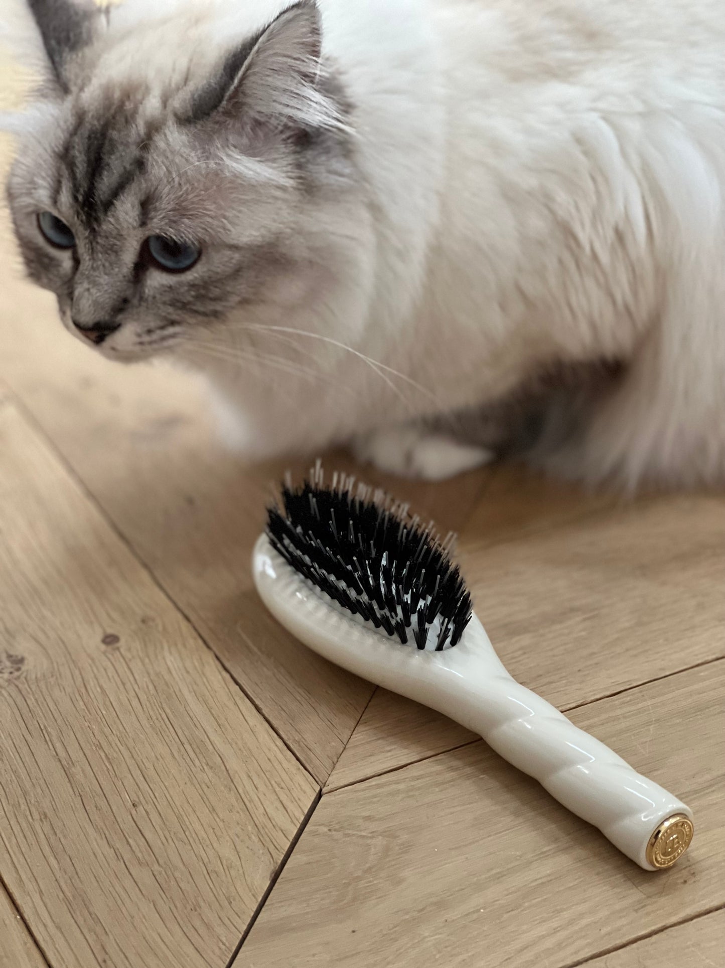 N.02 The Small Care & Detangling Hair Brush THE ESSENTIAL Creamy White