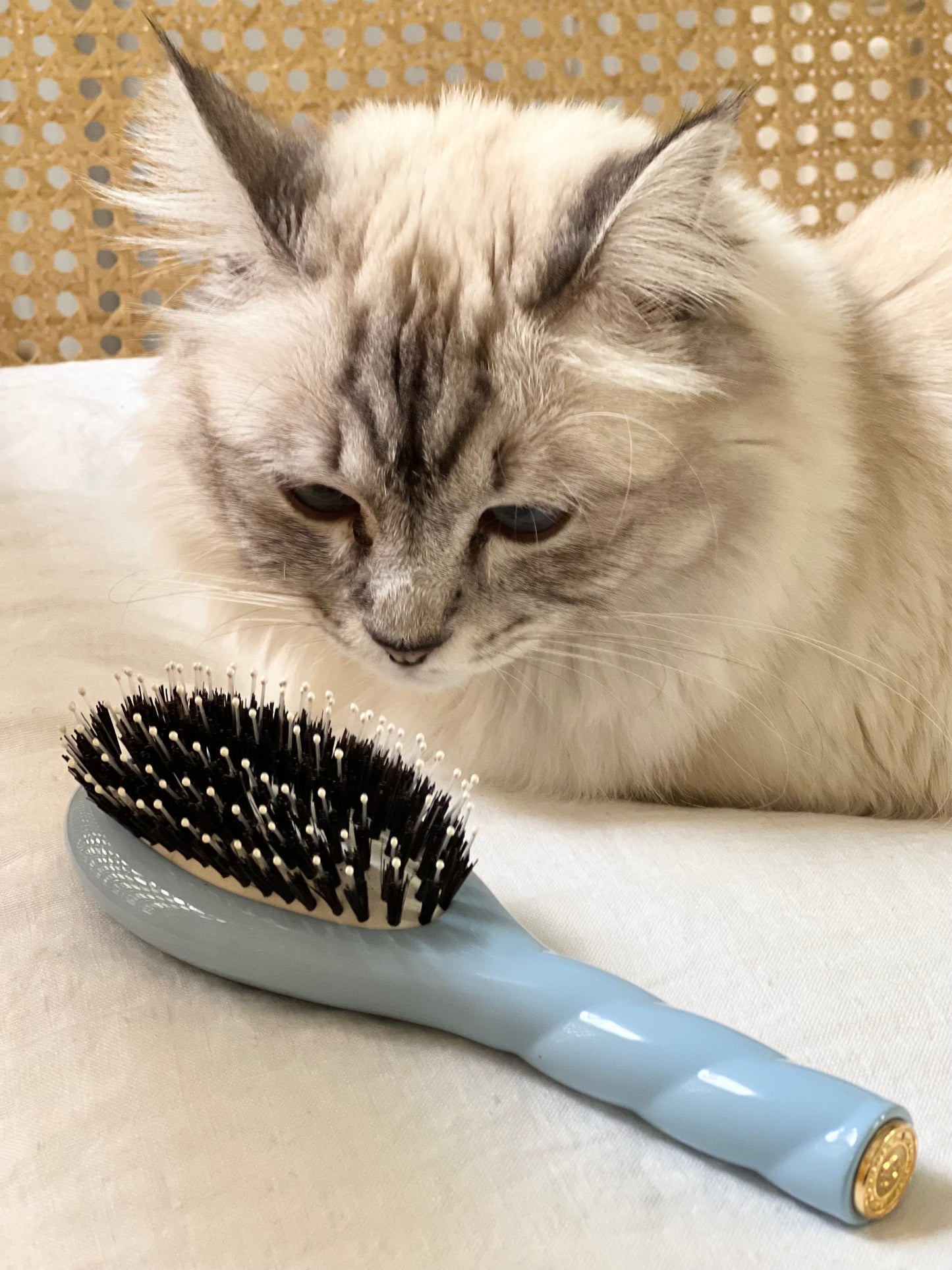 N.03 The Small Gentle Scalp Care Hair Brush THE ESSENTIAL SOFTNESS Light Blue